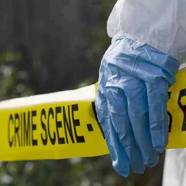 Tarifs analyse forensic - Image N° 3